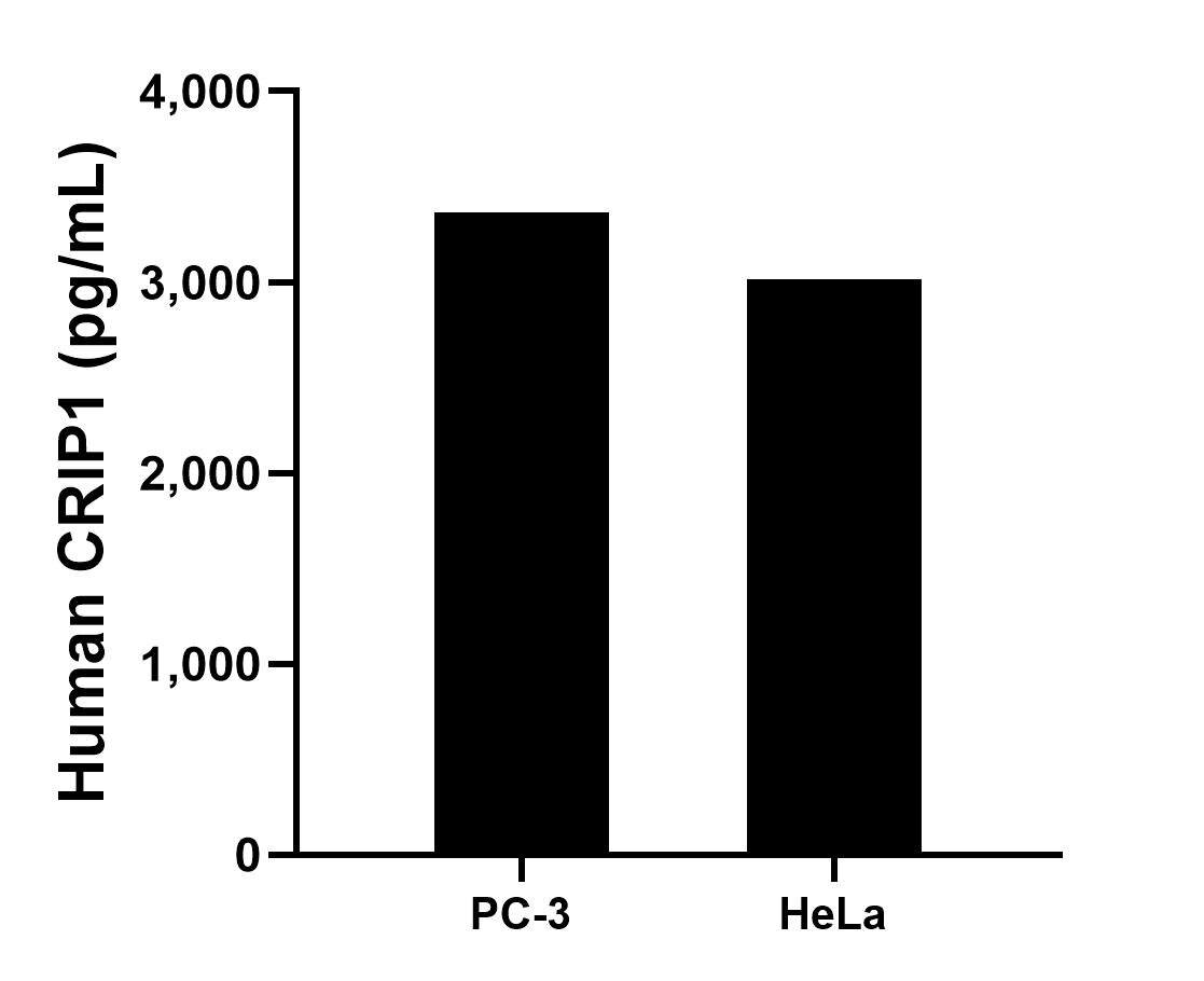 Sample test of MP00382-3